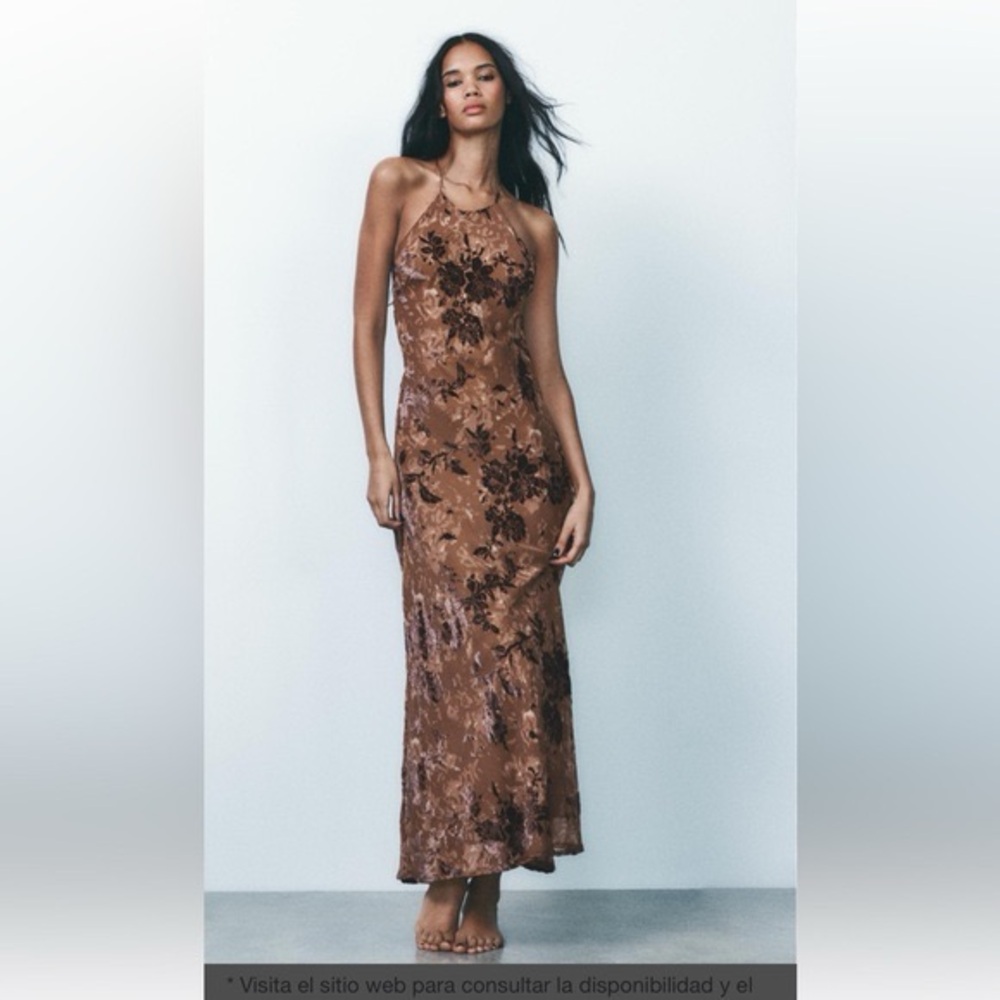 Zara Brown Floral Maxi Dress